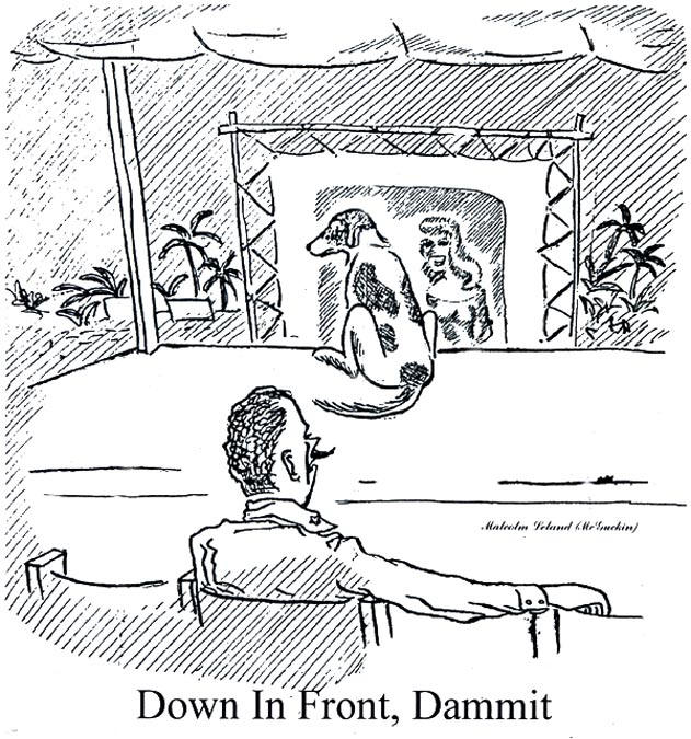 Down In Front, Dammit!